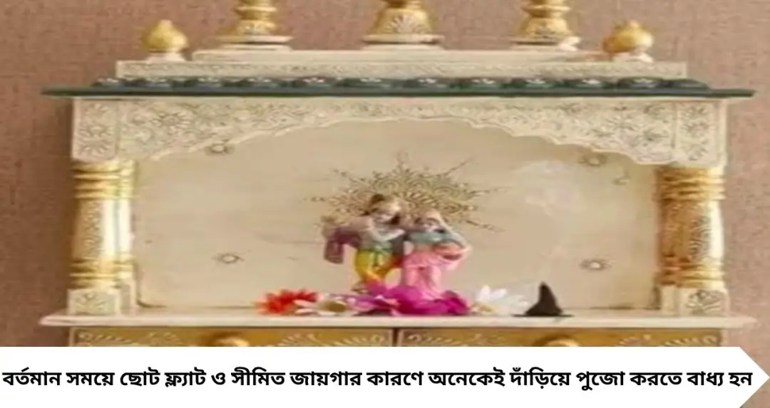 দাঁড়িয়ে পুজো করছেন? বাস্তুশাস্ত্রে সতর্কবার্তা, সংসারে অশান্তি ডেকে আনতে পারে এই অভ্যাস!
