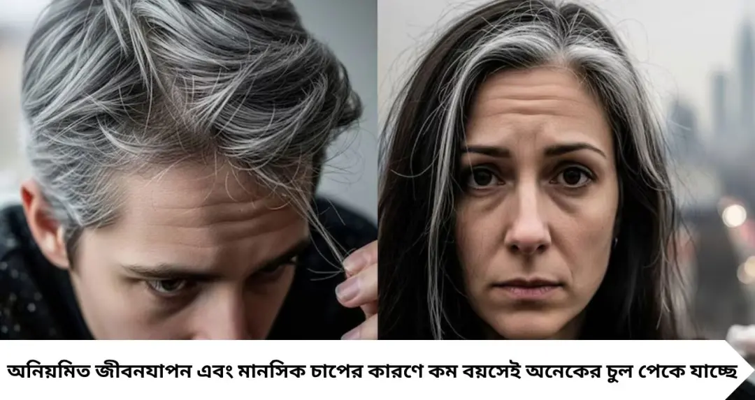 সাদা চুল কালো করার দাবি! নারকেল তেলের সঙ্গে এই ৪ উপাদান মিশিয়ে বানান ঘরোয়া হেয়ার সিরাম
