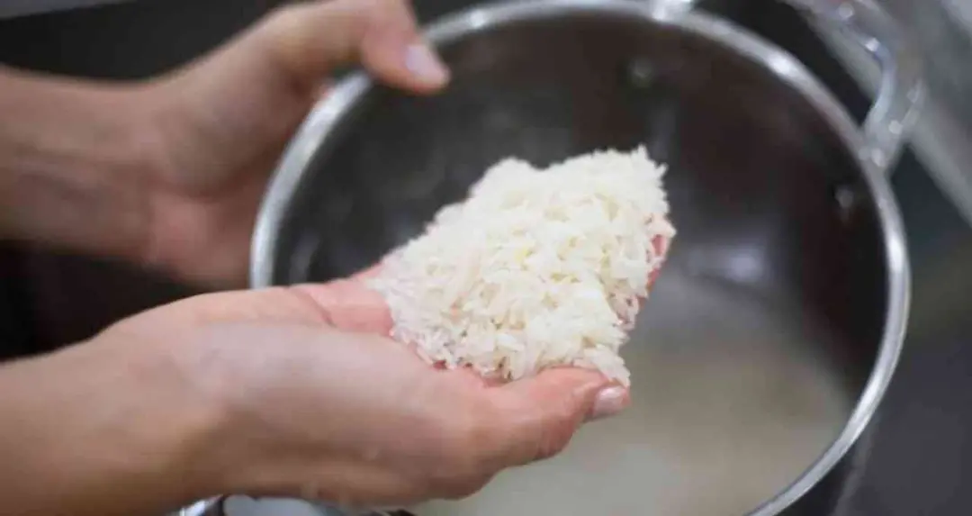 चावल पकाने से पहले धोना सही या गलत? नई स्टडी ने दिया संतुलित जवाब