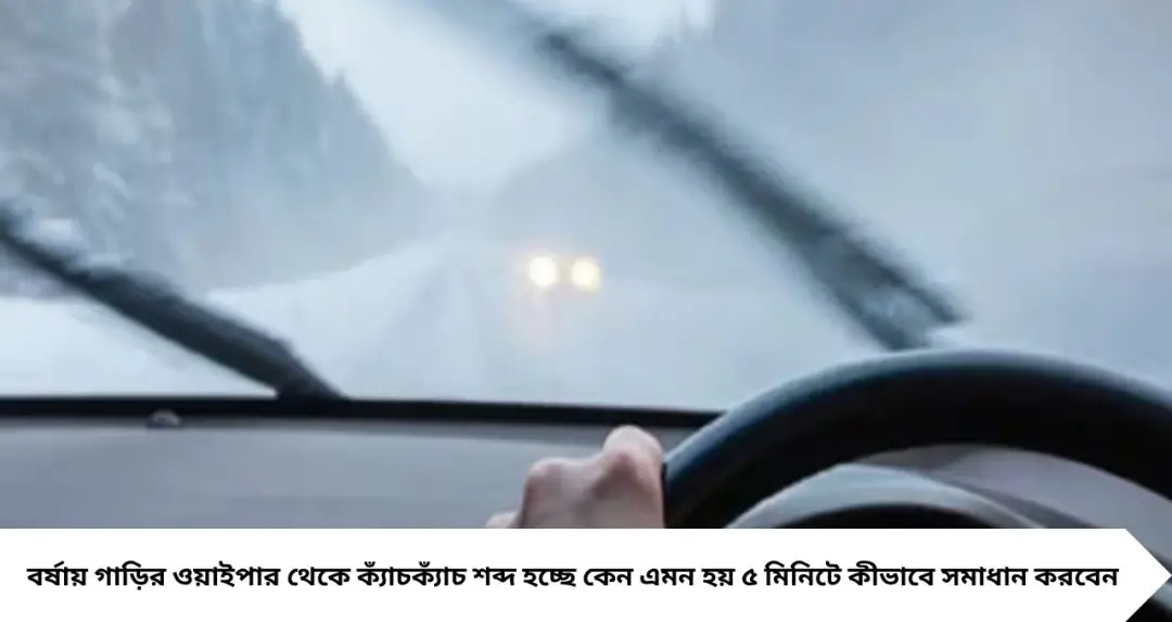 ওয়াইপার থেকে ক্যাঁচক্যাঁচ শব্দ? মাত্র ৫ মিনিটেই মিলতে পারে সমাধান, এই লক্ষণ দেখলেই বদলে ফেলুন