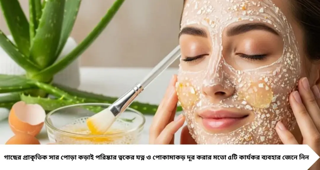 ডিমের খোসা ফেলছেন? বড় ভুল! গাছে ফুলের বন্যা থেকে পোড়া কড়াই পরিষ্কার—ডিমের খোসার ৫ অবিশ্বাস্য জাদু-টোটকা
