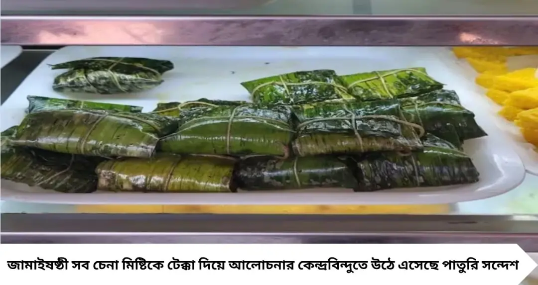 Jamai Sasthi 2026: ভেটকি পাতুরি নয়, জামাইষষ্ঠীর বাজারে বাজিমাত ‘পাতুরি সন্দেশ’-এর! এক কামড়েই মন জয় করছে নতুন স্বাদের মিষ্টি
