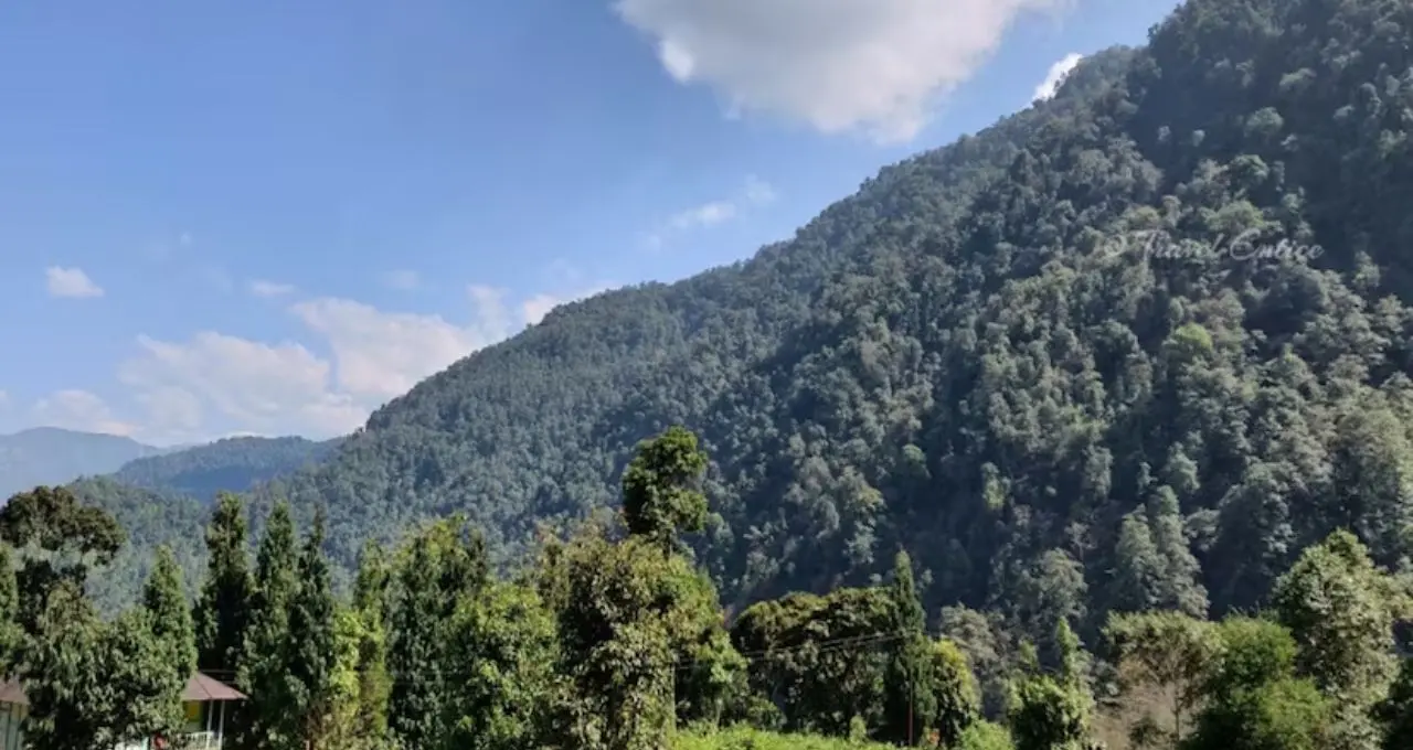 চোখ মেললেই কাঞ্চনজঙ্ঘা, পাইনবনে মেঘ-কুয়াশার লুকোচুরি! গরমের ছুটিতে দার্জিলিঙের তেন্দ্রাবং হতে পারে আপনার স্বপ্নের ঠিকানা