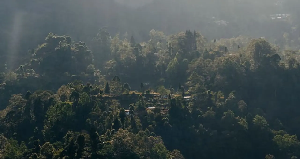 চোখ মেললেই কাঞ্চনজঙ্ঘা, পাইনবনে মেঘ-কুয়াশার লুকোচুরি! গরমের ছুটিতে দার্জিলিঙের তেন্দ্রাবং হতে পারে আপনার স্বপ্নের ঠিকানা