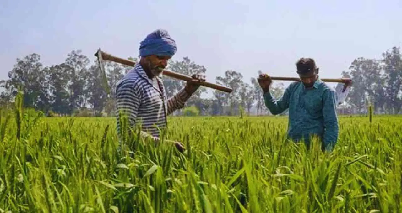 राजस्थान में कीटनाशक संपर्क से 535 किसानों की मौत, दो साल में 189 सैंपल फेल