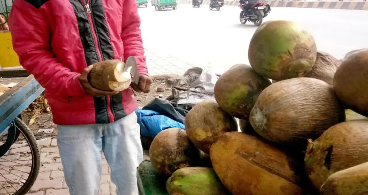 ডাবে জল বেশি না শাঁস? টোকা দিলেই মিলবে উত্তর! ‘৩ শব্দের টেকনিক’ শিখে ঠকে না গিয়ে বেছে নিন সেরা ডাব
