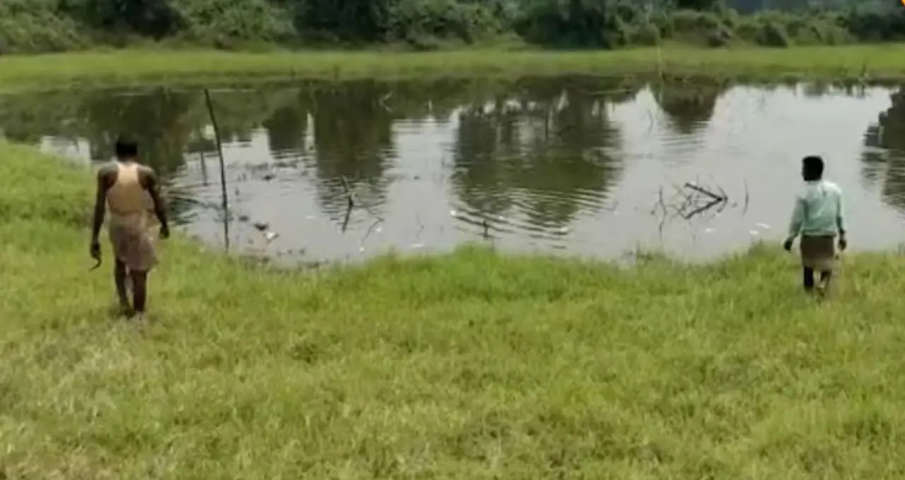হেলমেট না পরার জরিমানা মকুবের সুযোগ! বীরভূমে বসছে বিশেষ লোক আদালত, মিলতে পারে বড় স্বস্তি