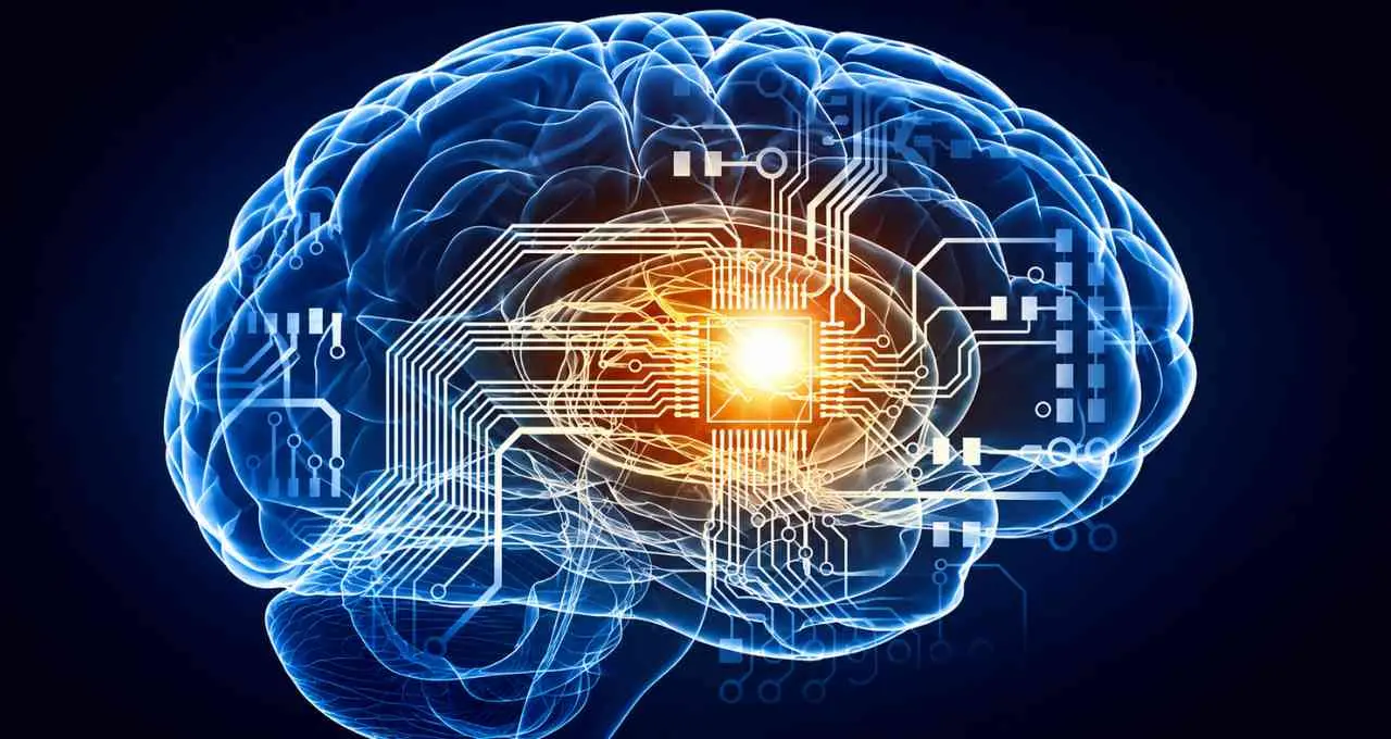 Acetylcholine Brain Signal से पुरानी आदतें बदलने का तरीका समझा, Addiction Treatment को मिल सकती नई दिशा
