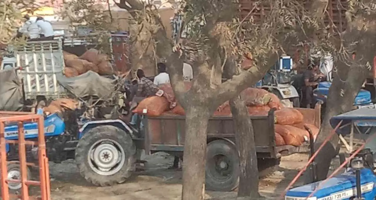 जबलपुर मंडी से 80 क्विंटल मूंग चोरी, खाली ट्रक छोड़कर फरार हुए बदमाश