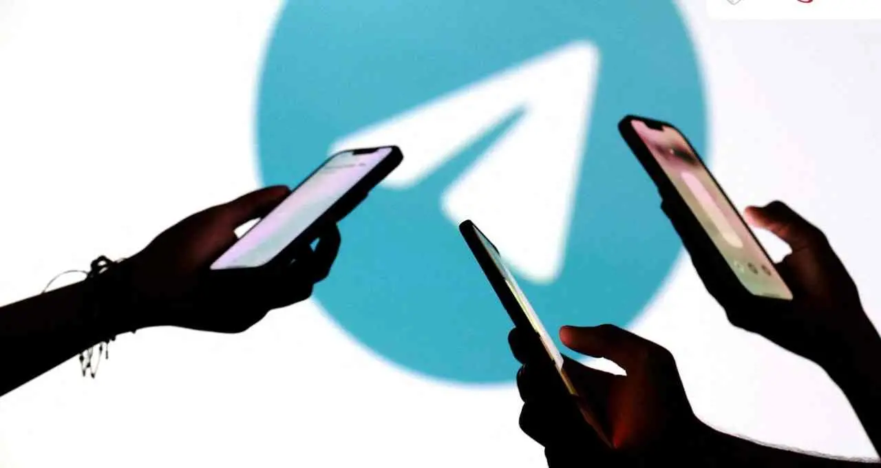 NEET Paper Leak: दिल्ली HC में पहुंचा Telegram Ban मामला, आज होगी अर्जेंट सुनवाई