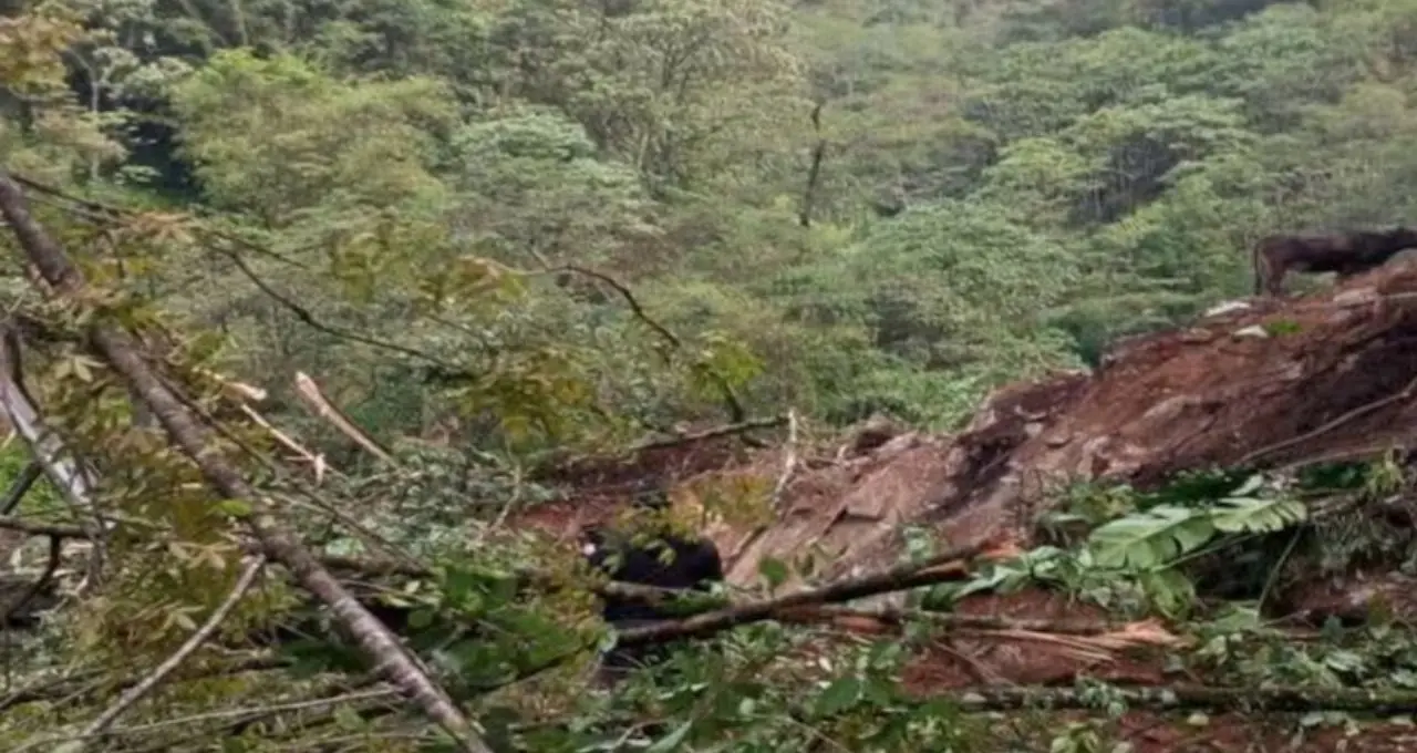সিকিমে টানা বৃষ্টির জেরে একাধিক রাস্তা বন্ধ, কোথায় চলছে যান চলাচল? ভ্রমণের আগে জেনে নিন সর্বশেষ আপডেট