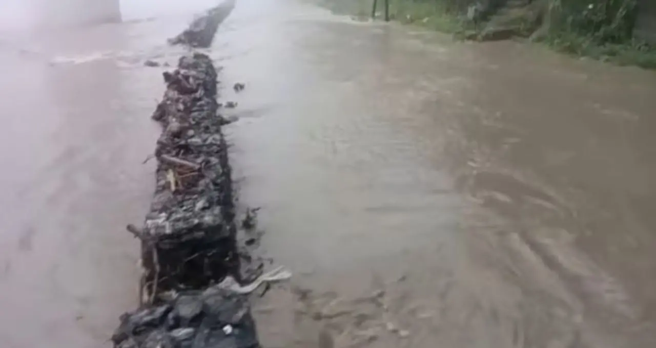 সিকিমে টানা বৃষ্টিতে ফুলে-ফেঁপে উঠছে তিস্তা, দার্জিলিং রোডে মাইকিং করে সতর্কতা প্রশাসনের
