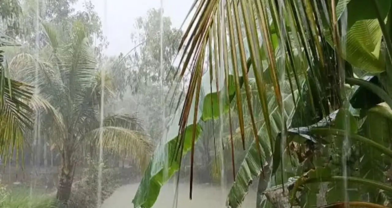 Weather Update: সকাল থেকেই ঝড়-বৃষ্টির পূর্বাভাস, একাধিক জেলায় হলুদ সতর্কতা! অফিসে বেরোনোর আগে দেখে নিন আবহাওয়ার 