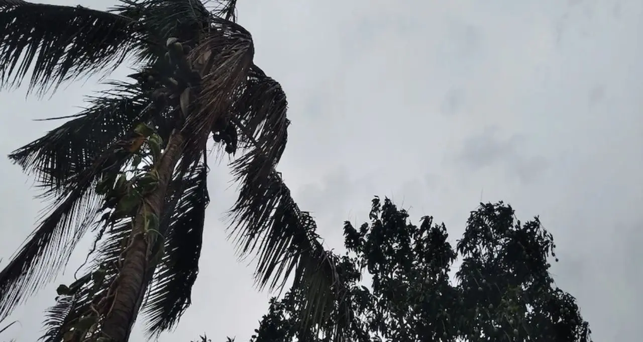 Weather Update: সকাল থেকেই ঝড়-বৃষ্টির পূর্বাভাস, একাধিক জেলায় হলুদ সতর্কতা! অফিসে বেরোনোর আগে দেখে নিন আবহাওয়ার 