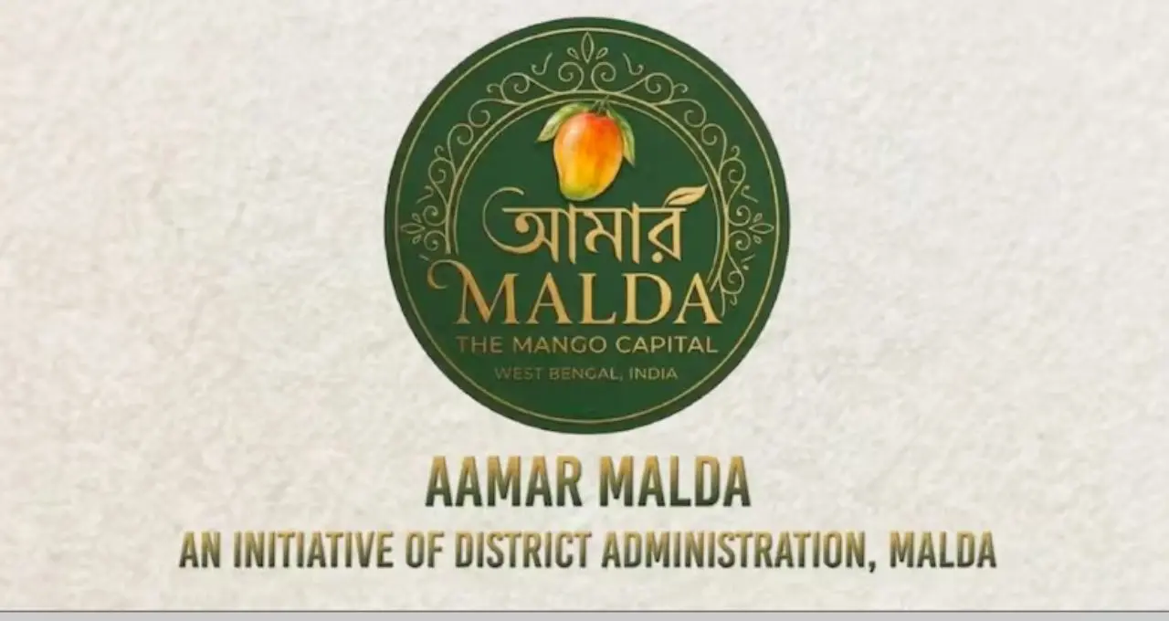 ঘরে বসেই মালদার ফজলি-হিমসাগর আম অর্ডার! চালু হল ‘আমার মালদা’ পোর্টাল
