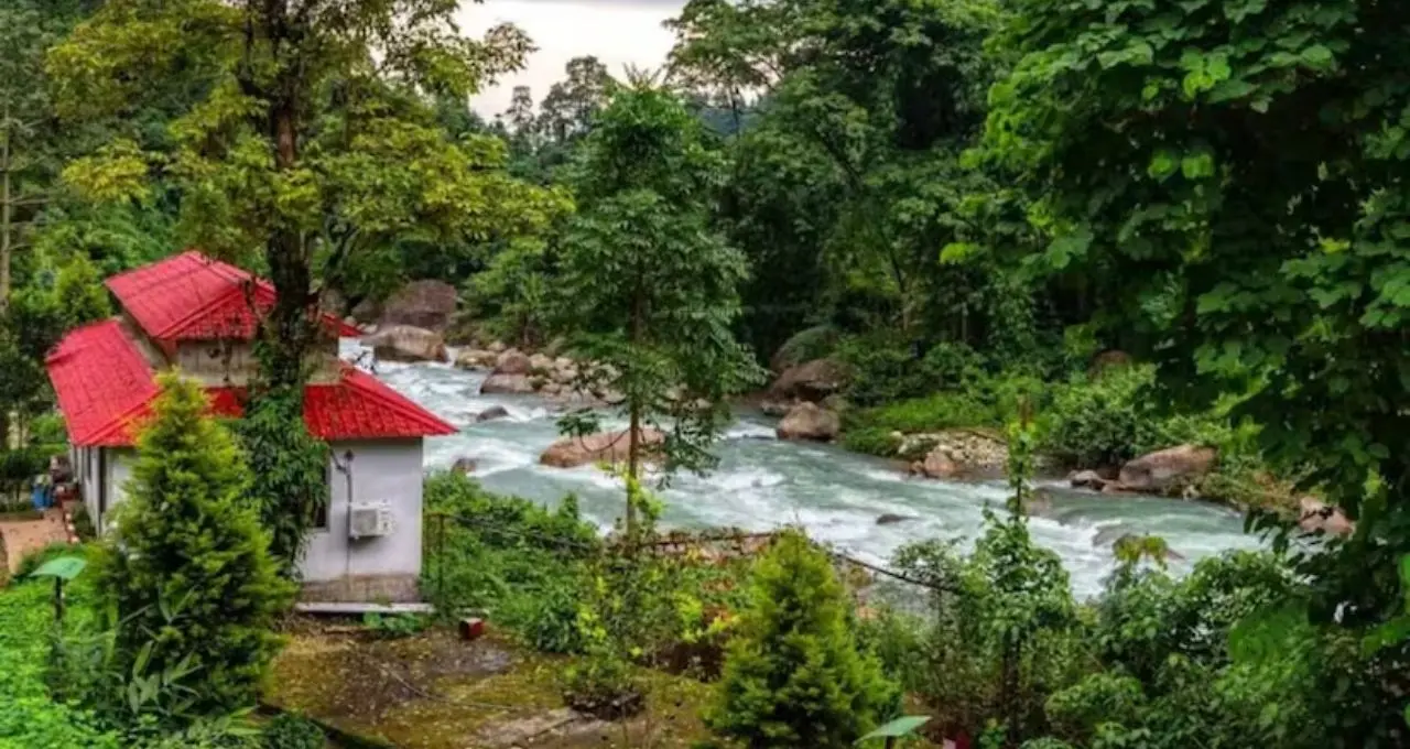 বর্ষায় ডুয়ার্স ভ্রমণ: পাহাড়, ঝরনা আর সবুজের রাজ্যে হারিয়ে যান—রইল ৫টি সেরা ডেস্টিনেশন গাইড
