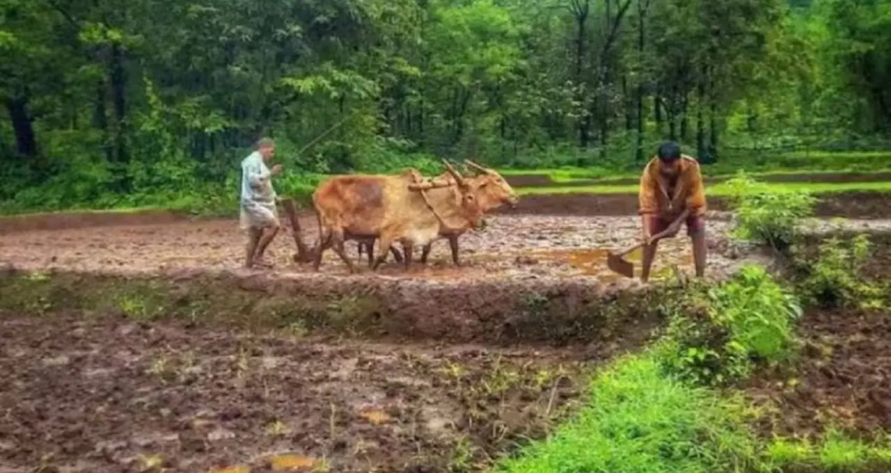 কৃষকদের জন্য বড় সুখবর! ৬০ বছরের পর বছরে ৩৬ হাজার টাকা নিশ্চিত পেনশন, কী এই স্কিম?