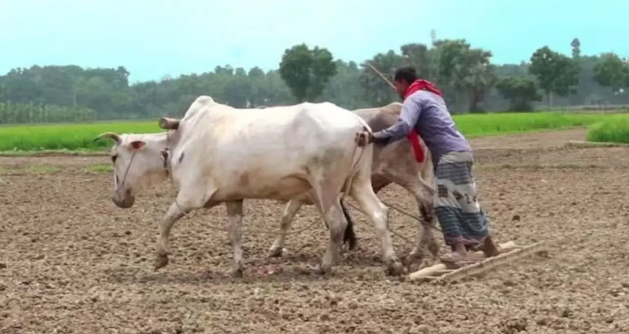 কৃষকদের জন্য বড় সুখবর! ৬০ বছরের পর বছরে ৩৬ হাজার টাকা নিশ্চিত পেনশন, কী এই স্কিম?