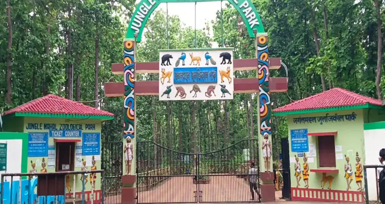 ঝাড়গ্রামে টাইগার সাফারি: শালবনের বুকে গর্জে উঠবে রয়্যাল বেঙ্গল টাইগার, পর্যটনে খুলছে নতুন দিগন্ত
