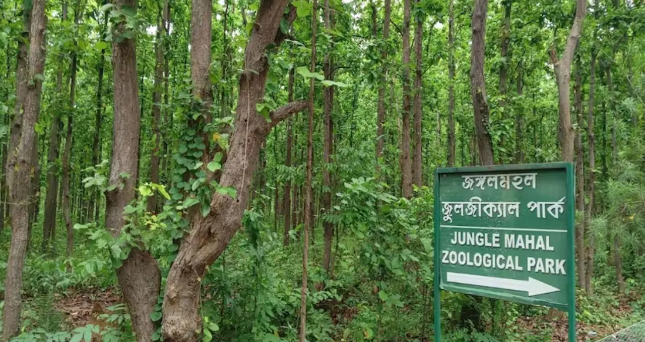 ঝাড়গ্রামে টাইগার সাফারি: শালবনের বুকে গর্জে উঠবে রয়্যাল বেঙ্গল টাইগার, পর্যটনে খুলছে নতুন দিগন্ত
