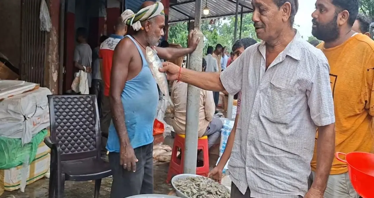 বাজারে ইলিশের ছড়াছড়ি, কিন্তু সবই কি পদ্মার? সৎ ব্যবসায়ীদের মুখে উঠে এল রুপোলি মাছের আসল পরিচয়
