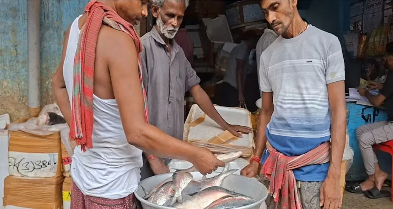 বাজারে ইলিশের ছড়াছড়ি, কিন্তু সবই কি পদ্মার? সৎ ব্যবসায়ীদের মুখে উঠে এল রুপোলি মাছের আসল পরিচয়
