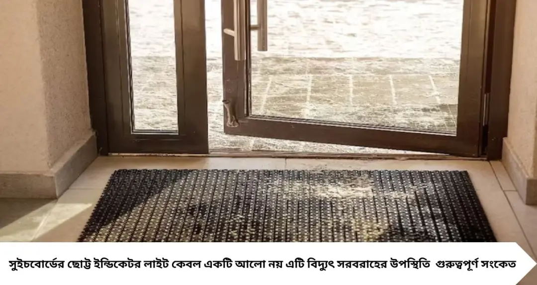 বর্ষায় কাদা-মাটিতে নোংরা পাপোশ? ধোয়া-শুকোনোর ঝামেলা ছাড়াই সহজ কৌশলে হবে একেবারে ঝকঝকে