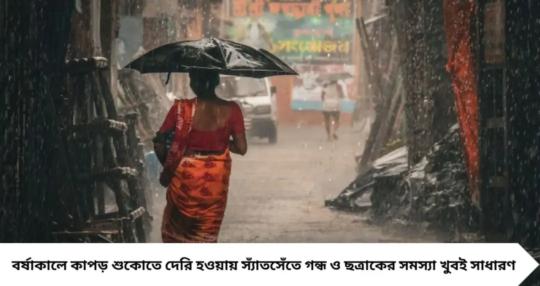 বর্ষায় কাপড় কাচার পরেও সোঁদা গন্ধ? ডিটারজেন্টের সঙ্গে মিশিয়ে নিন এই ৩ জিনিসের যে-কোনও একটি, ছত্রাকও থাকবে দূরে
