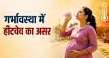 गर्भावस्था में कुछ दिनों की भीषण गर्मी भी बढ़ा सकती है नवजात के लिए खतरा, नई स्टडी में बड़ा खुलासा