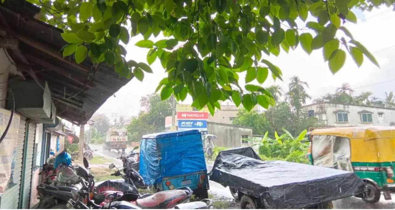 IMD Weather Update: সাগরে শক্তি বাড়াচ্ছে নিম্নচাপ, শনিবার দুপুর থেকেই দক্ষিণবঙ্গে ঝড়-বৃষ্টির দাপট! কোন কোন জেলায় জারি সতর্কতা?