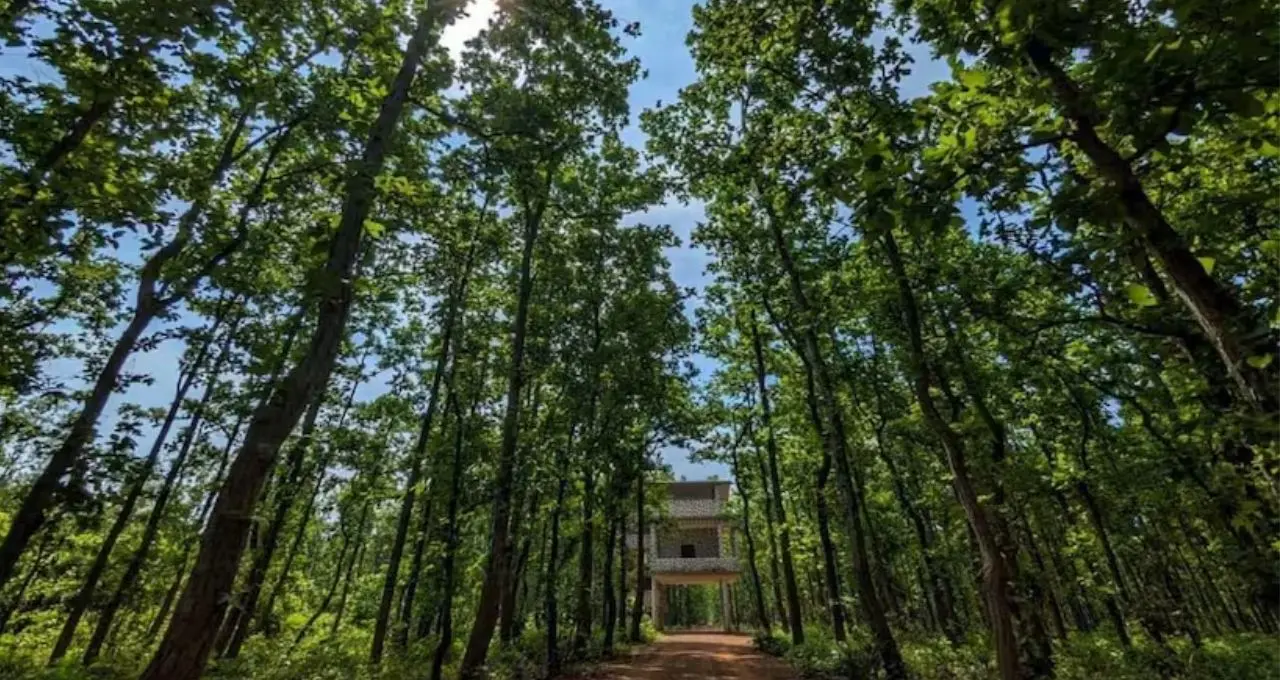বর্ষার ছোঁয়ায় সবুজে মোড়া বাঁকুড়া! শাল-পলাশের বন, রহস্যময় মন্দির, পাহাড়-ঝরনা—স্বল্প খরচে ঘুরে আসুন ৬ অনন্য গন্তব্যে