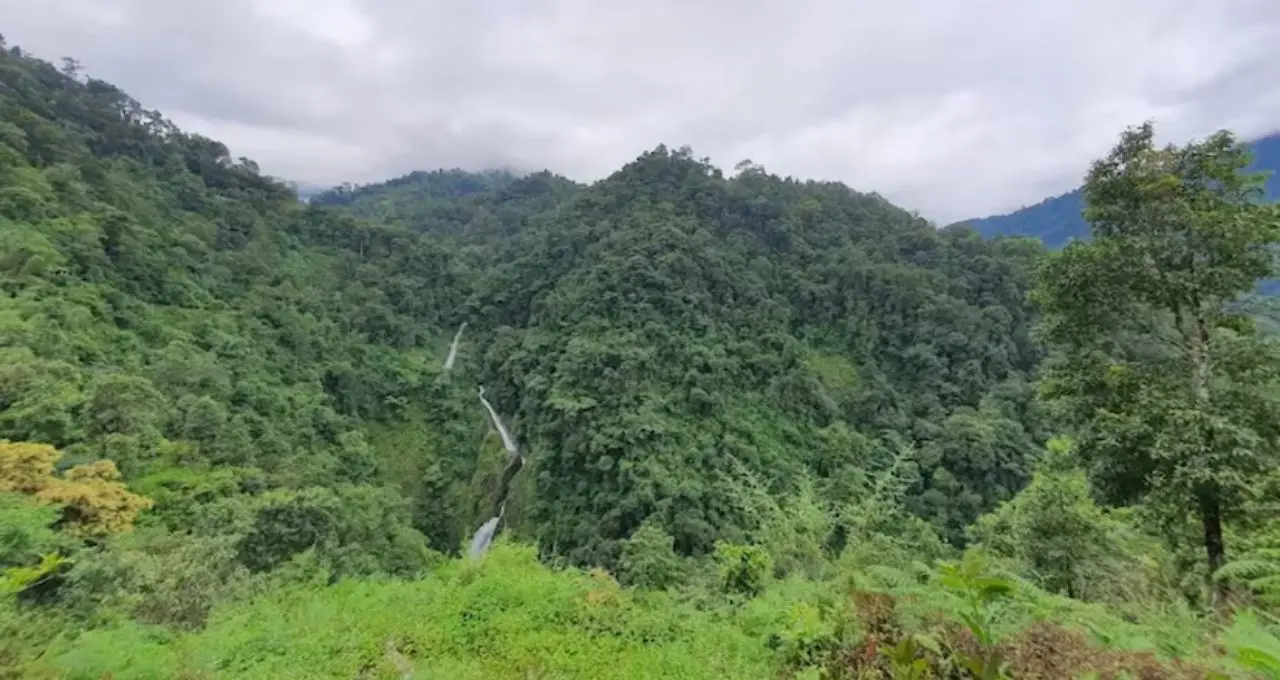 নেওড়া ভ্যালি কি এবার ইউনেস্কোর বিশ্ব ঐতিহ্যের স্বীকৃতি পাবে? ১৭ বছর পর ফের জোরালো উদ্যোগ, আশাবাদী উত্তরবঙ্গ