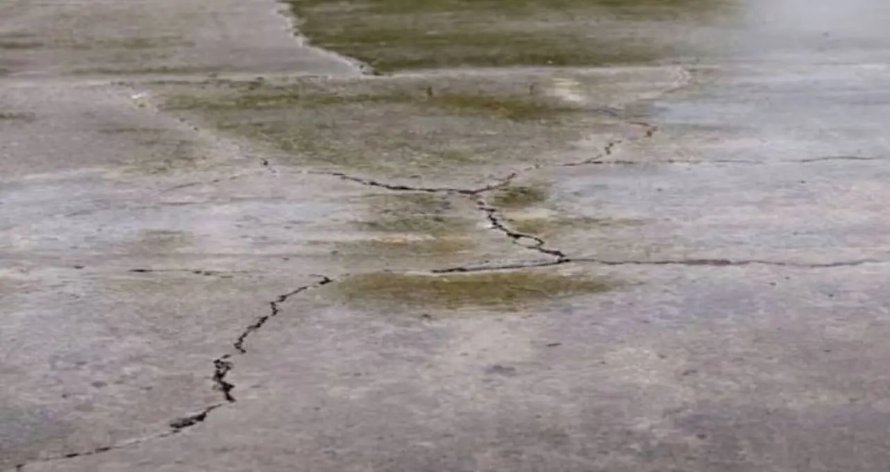 বর্ষায় ছাদে শ্যাওলা, স্যাঁতসেঁতে ভাব বা ফাটল? সহজ কয়েকটি উপায়ে কমাতে পারেন সমস্যা, জেনে নিন কী করবেন
