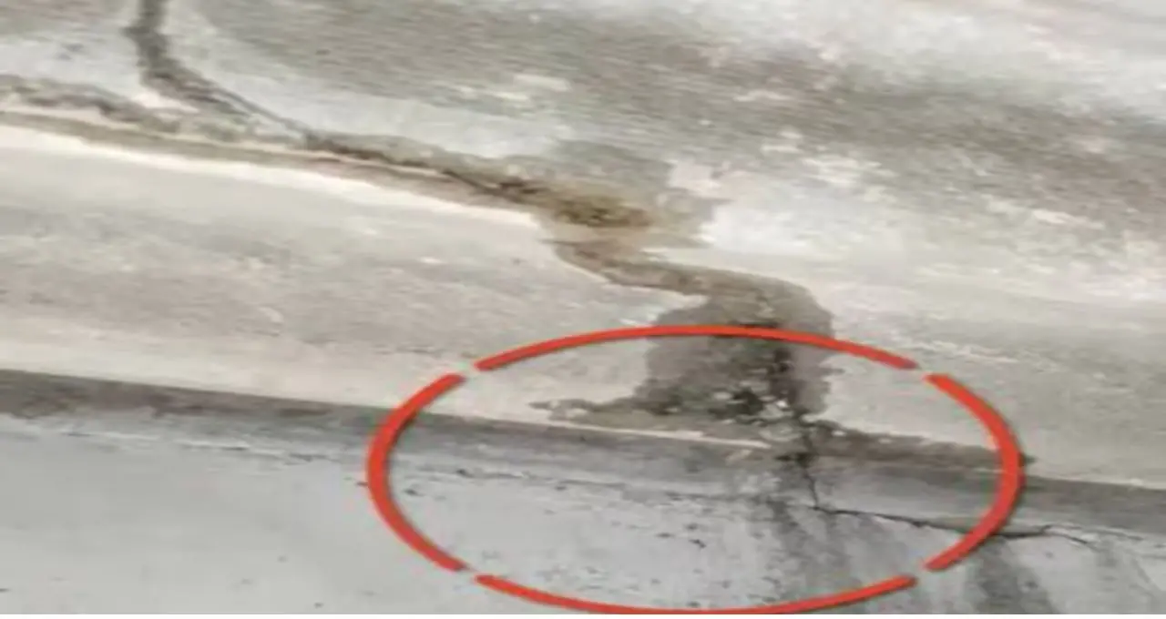 বর্ষায় ছাদে শ্যাওলা, স্যাঁতসেঁতে ভাব বা ফাটল? সহজ কয়েকটি উপায়ে কমাতে পারেন সমস্যা, জেনে নিন কী করবেন
