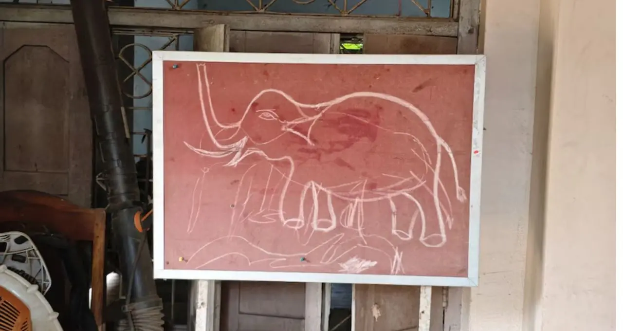 পূর্ব ভারতে প্রথম ‘হাতির সাবওয়ে’ বাঁকুড়ায়, মানুষ-হাতি সংঘাত কমাতে বড় পদক্ষেপ প্রশাসনের
