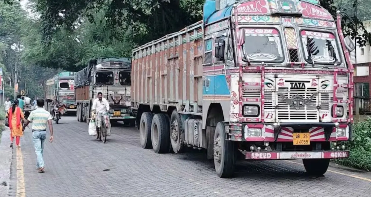 টানা বৃষ্টিতে টাকি রোডে উপড়ে পড়ল বিশাল গাছ, বেড়াচাঁপায় দীর্ঘক্ষণ স্তব্ধ যান চলাচল, তৎপর পুলিশ
