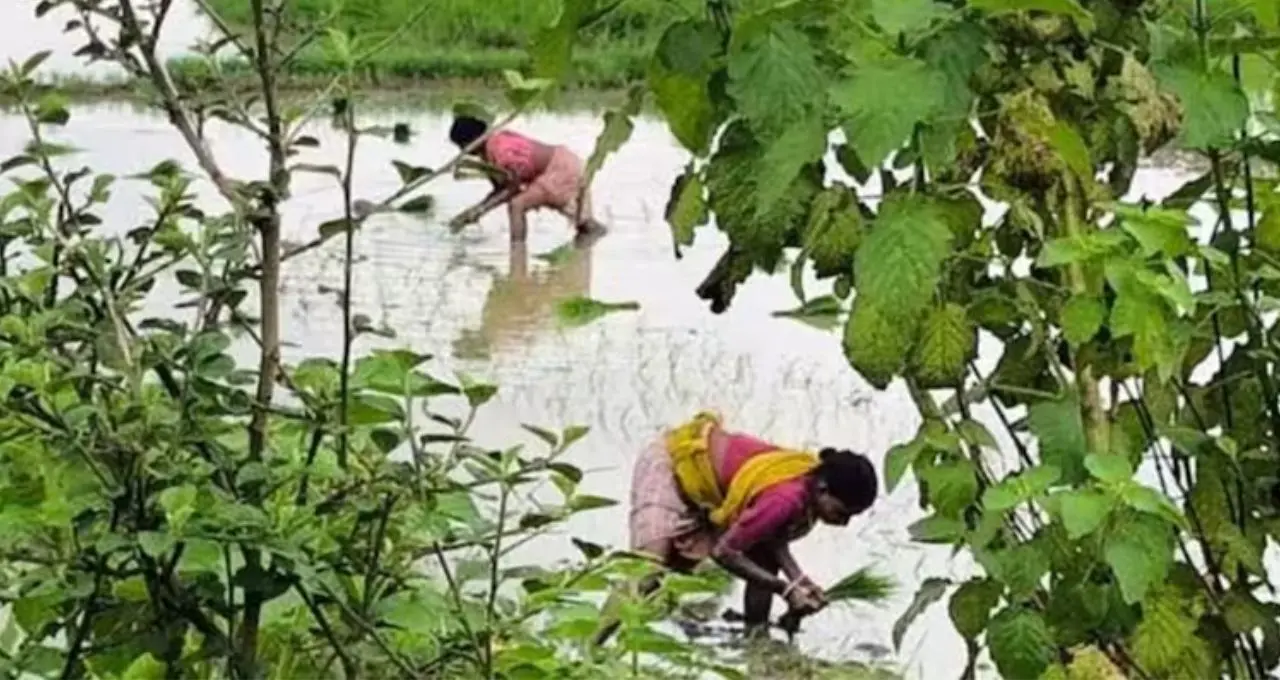 কৃষক বন্ধু প্রকল্পে ভেরিফিকেশন শুরু! কোন নথি লাগবে, কোথায় করবেন যাচাই? জেনে নিন সম্পূর্ণ নিয়ম
