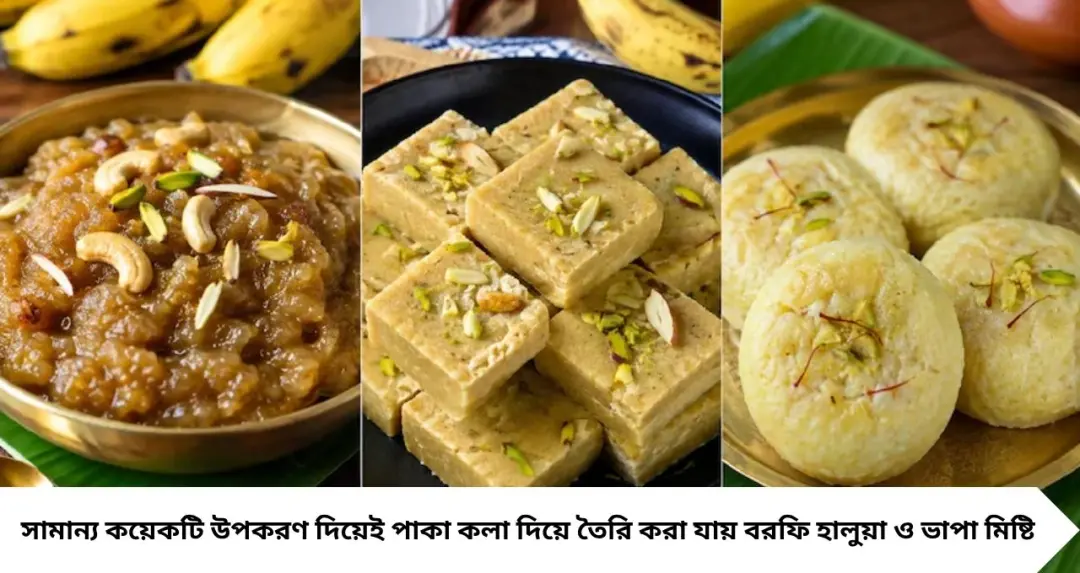 পাকা কলা ফেলে দেবেন না! শ্রাবণে বানিয়ে ফেলুন ৩ দুর্দান্ত মিষ্টি, স্বাদ বাড়াতে রইল সহজ টিপস
