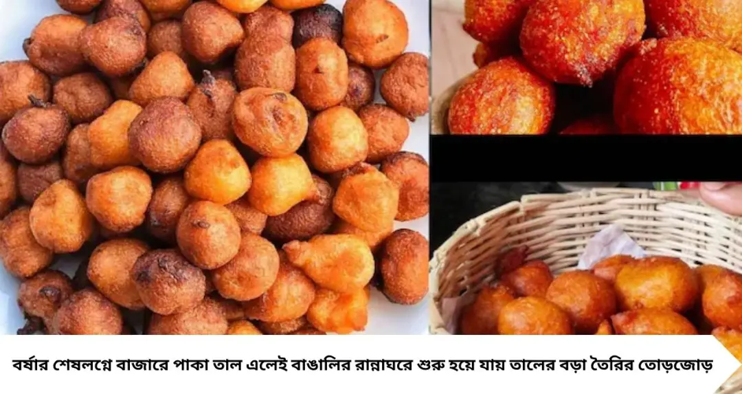 Soft Taaler Bora Tips: ঠান্ডা হলেও নরম থাকবে তালের বড়া! বাইরেটা মুচমুচে, ভিতরটা তুলতুলে করতে মানুন এই টোটকা
