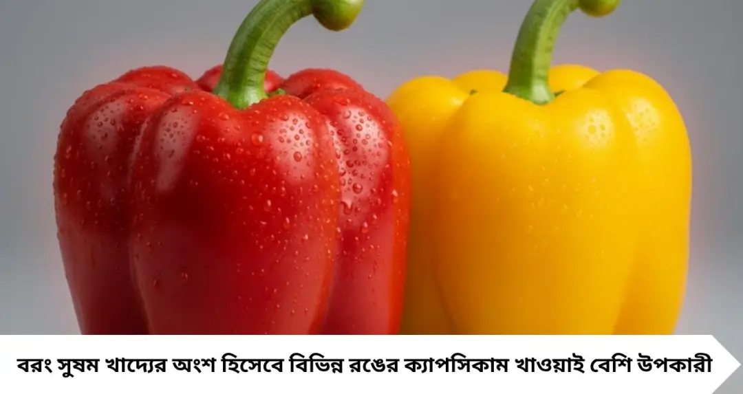 Capsicum & Cancer Risk: লাল না হলুদ, সবুজই বা কম কীসে? কোন রঙের ক্যাপসিকামে লুকিয়ে বেশি পুষ্টি, ক্যানসার-হার্ট নিয়ে জানুন সত্যিটা
