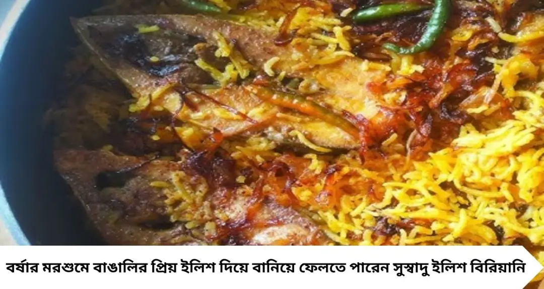 রেড মিটে একঘেয়েমি? বর্ষায় চেখে দেখুন ইলিশ বিরিয়ানি, ঘরেই বানানোর সহজ রেসিপি
