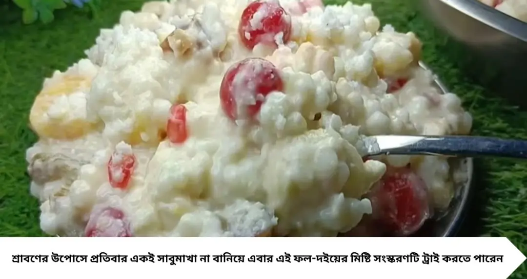 শ্রাবণের উপোসে সাবুদানা এবার একেবারে অন্যরকম! দই, ফল আর সন্দেশে মাখলেই স্বাদে চমক, রইল সহজ রেসিপি
