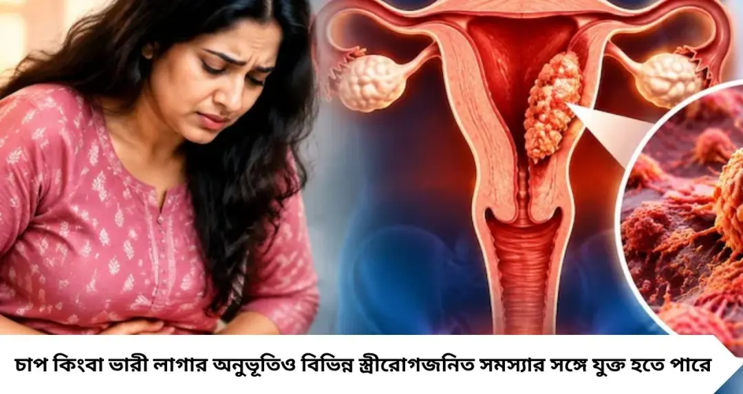 এন্ডোমেট্রিয়াল ক্যানসার: পিরিয়ডের মাঝেই রক্তপাত? মেনোপজের পরও ‘এটা’ হলে সাবধান, চিনে নিন বিপদসঙ্কেত
