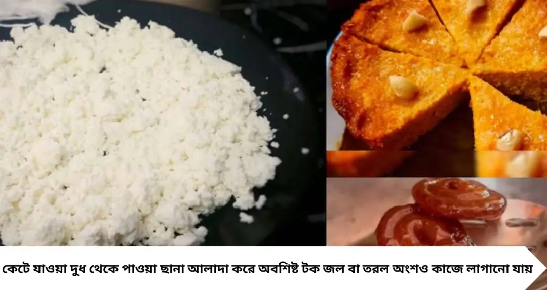 দুধ কেটে গিয়েছে? ফেলে দেবেন না! ছানা ছাড়াও এই ৫ কায়দায় বানান মুখরোচক পদ, নষ্ট হবে না এক ফোঁটাও
