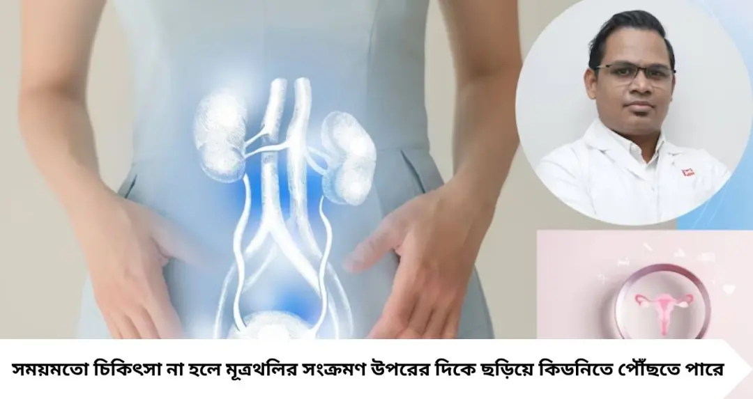 UTI in Women: পুরুষের তুলনায় মহিলাদের UTI বেশি হয় কেন? টয়লেটের পর এই ভুলেই বাড়ে সংক্রমণের ঝুঁকি, জানালেন চিকিৎসক
