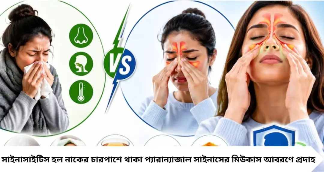 Sinusitis vs Common Cold: সাইনাসের ব্যথা কি নিজে থেকেই সারে? ঘরোয়া উপায়ে মিলবে আরাম, সাধারণ সর্দি-কাশির সঙ্গে পার্থক্য জানুন
