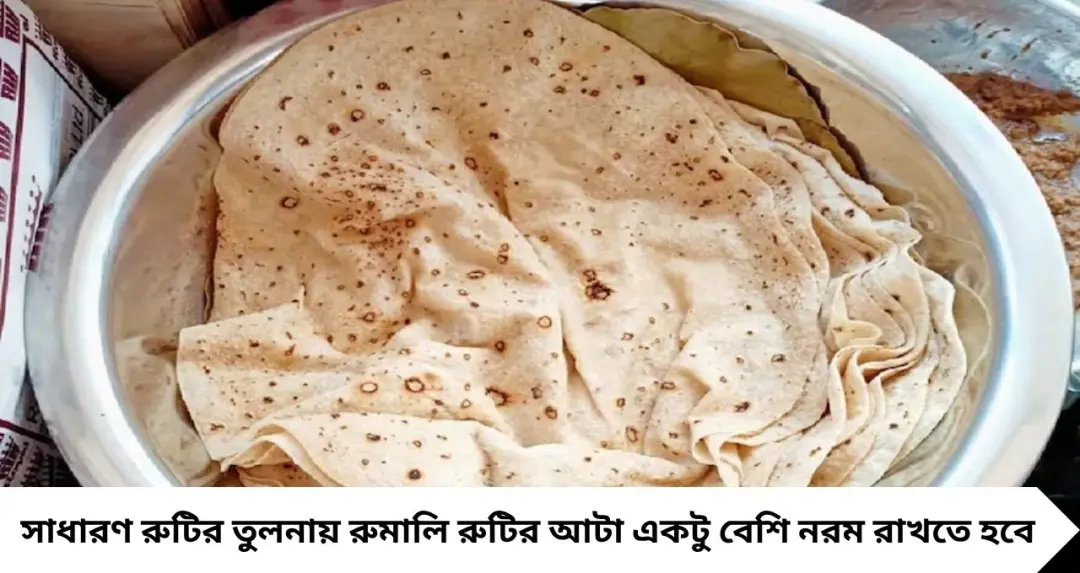Rumali Roti Recipe: তন্দুর নয়, হাওয়ায় ঘোরানোও নয়! সাধারণ তাওয়াতেই বানান ধাবার মতো নরম রুমালি রুটি
