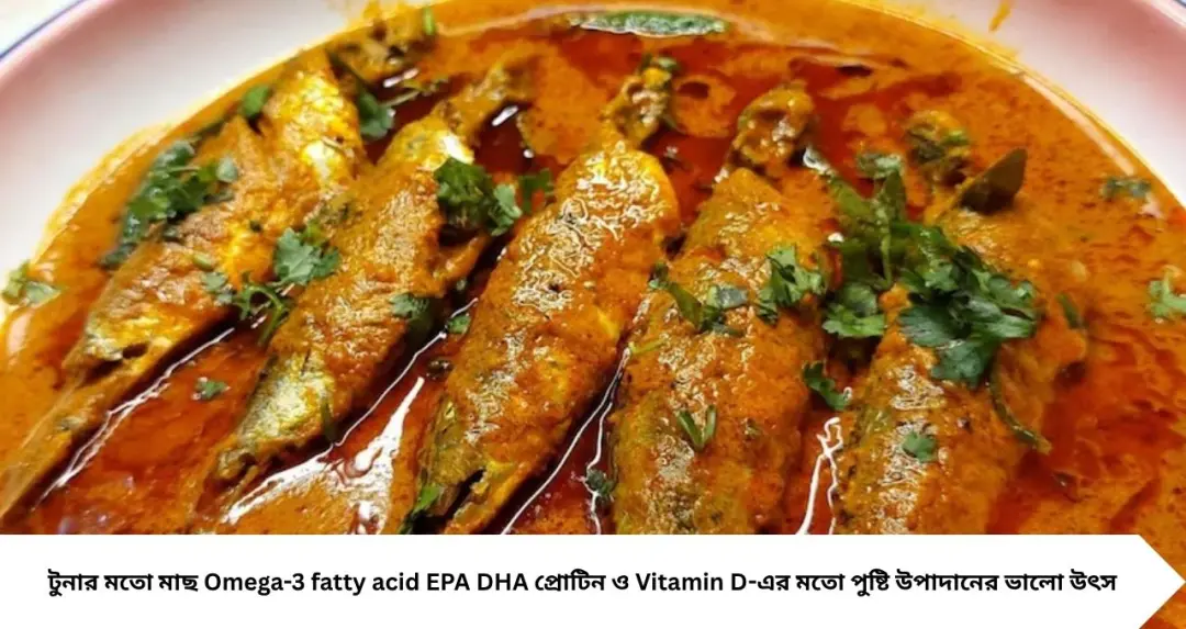 Fish Benefits: স্বাদের সঙ্গে পুষ্টিরও ‘মহারাজা’! এই ২ মাছের পাতে থাকলে মিলতে পারে Omega-3, EPA, DHA, Vitamin D
