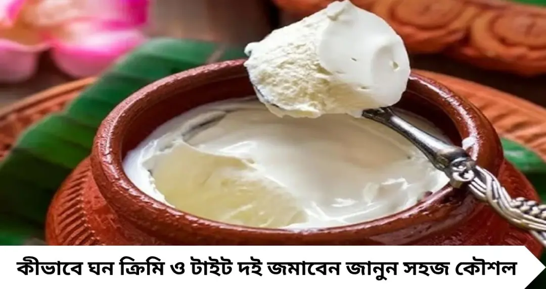 Curd Making Tips: বাড়িতে দই পাতলেই জল কেটে যায়? দুধে এই ১ জিনিস মেশান, বাটি উল্টালেও নড়বে না দই!
