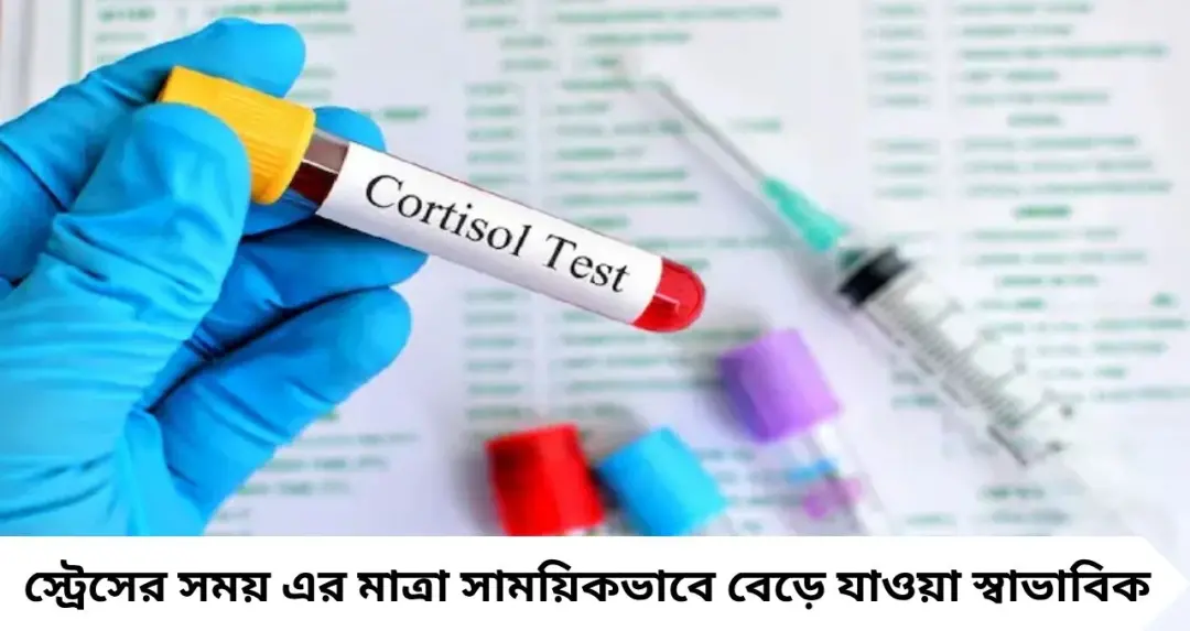 ডায়েট করেও পেটের মেদ কমছে না? কর্টিসল নিয়ন্ত্রণে রাখার কাজে আসতে পারে এই ৬ খাবার, রইল সহজ তালিকা

